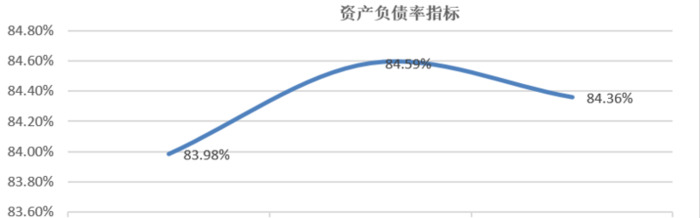 项目未来收益及偿债能力分析综合数据【企业未来收益能力和偿债能力分析报告】