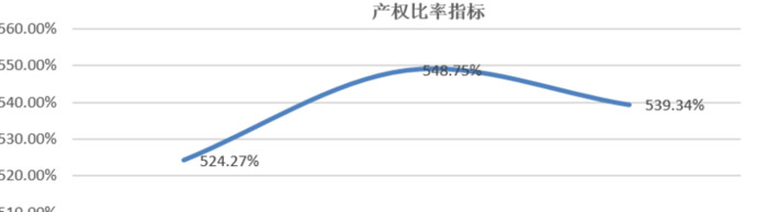 项目未来收益及偿债能力分析综合数据【企业未来收益能力和偿债能力分析报告】