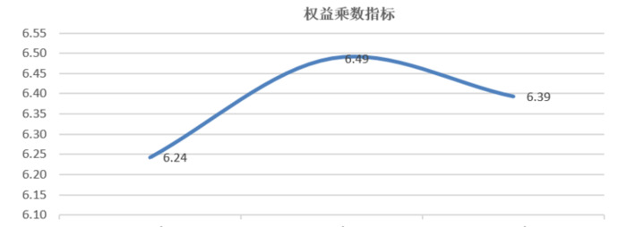 项目未来收益及偿债能力分析综合数据【企业未来收益能力和偿债能力分析报告】