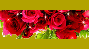 祝福朋友家庭幸福美满的祝福语【朋友生日幸福美满的祝福语】