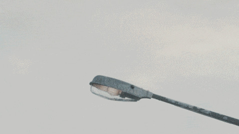 古人关于环保的句子【中国古代环保思想名句】