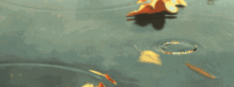 古人关于环保的句子【中国古代环保思想名句】