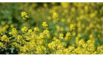 相隔千里的思念的句子何时能相逢的句子【相隔千里的思念的句子茜】