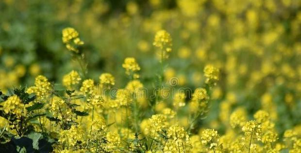 相隔千里的思念的句子何时能相逢的句子【相隔千里的思念的句子茜】