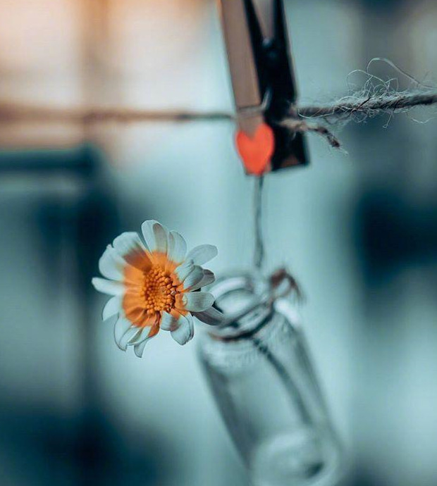 酒醉醒来后悔的句子【酒醒后的幽默句子】