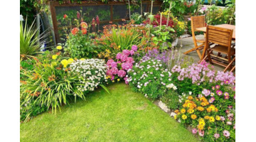 多肉花境效果图【花境效果图怎么做】