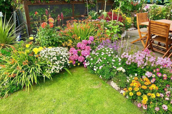 多肉花境效果图【花境效果图怎么做】