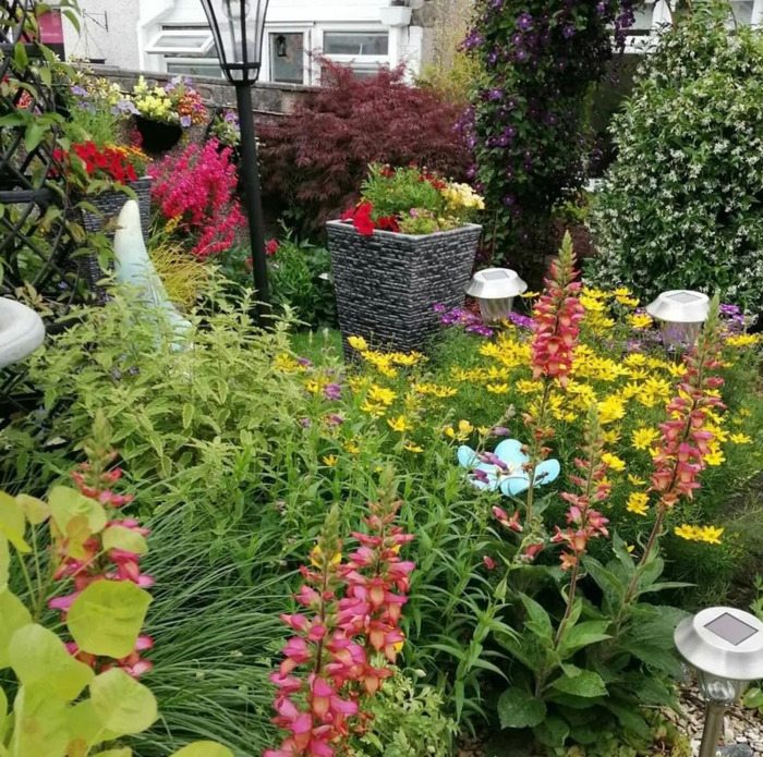 多肉花境效果图【花境效果图怎么做】