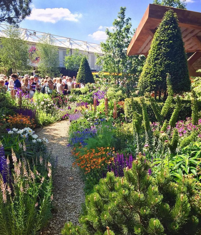 多肉花境效果图【花境效果图怎么做】