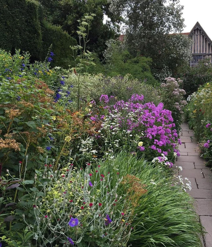 多肉花境效果图【花境效果图怎么做】