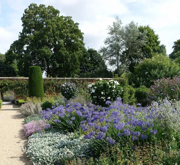 多肉花境效果图【花境效果图怎么做】