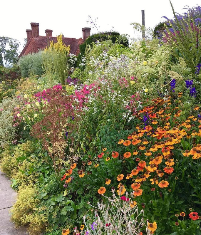 多肉花境效果图【花境效果图怎么做】