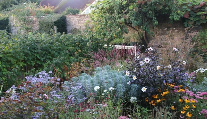 多肉花境效果图【花境效果图怎么做】