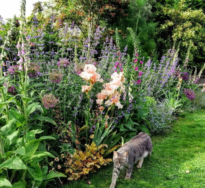 多肉花境效果图【花境效果图怎么做】