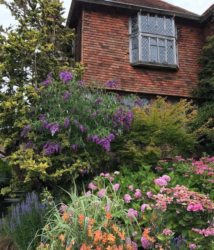 多肉花境效果图【花境效果图怎么做】