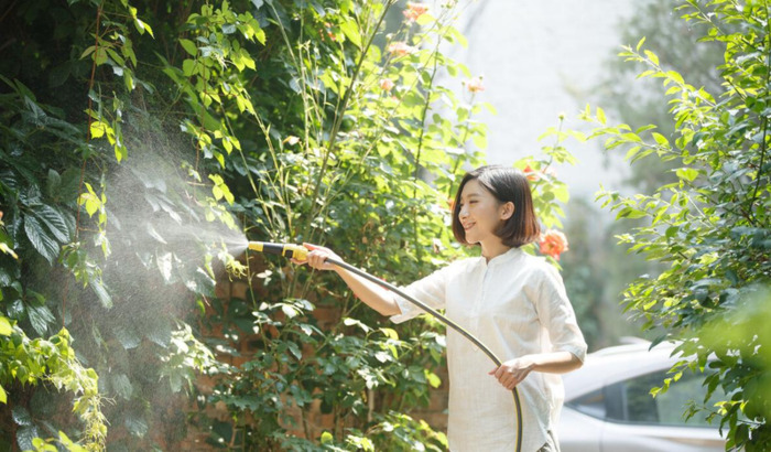 赞美小院子的诗句【赞美小院美景的诗句】