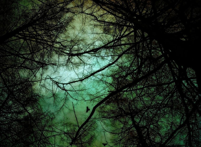 酒后的句子说说心情一群人【酒后的句子说说心情的文言文】