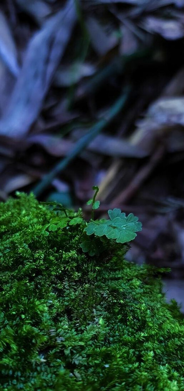 酒后的句子说说心情一群人【酒后的句子说说心情的文言文】