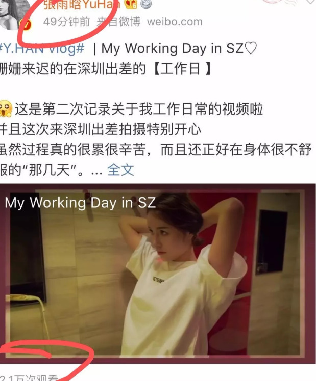 蜂群文化创始人【蜂群文化峰哥】