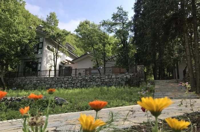 百里杜鹃附近【百里杜鹃风景名胜区住哪里好】