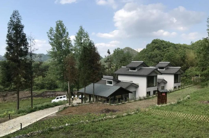 百里杜鹃附近【百里杜鹃风景名胜区住哪里好】