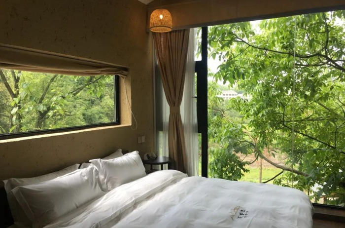 百里杜鹃附近【百里杜鹃风景名胜区住哪里好】