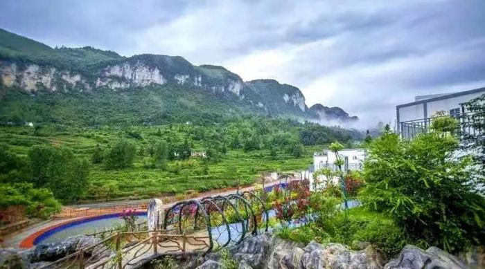 百里杜鹃附近【百里杜鹃风景名胜区住哪里好】