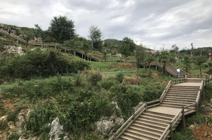 百里杜鹃附近【百里杜鹃风景名胜区住哪里好】