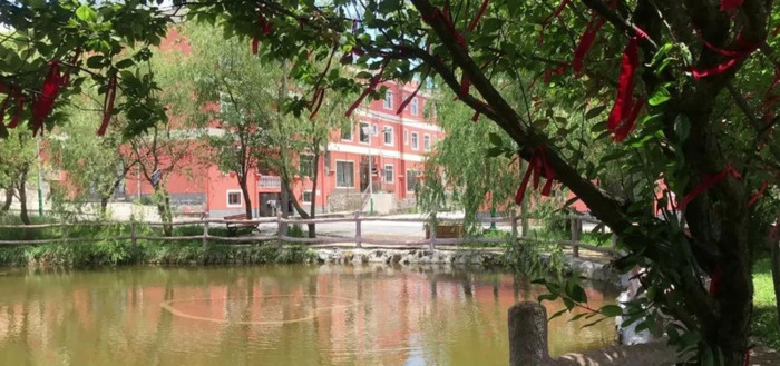 百里杜鹃附近【百里杜鹃风景名胜区住哪里好】