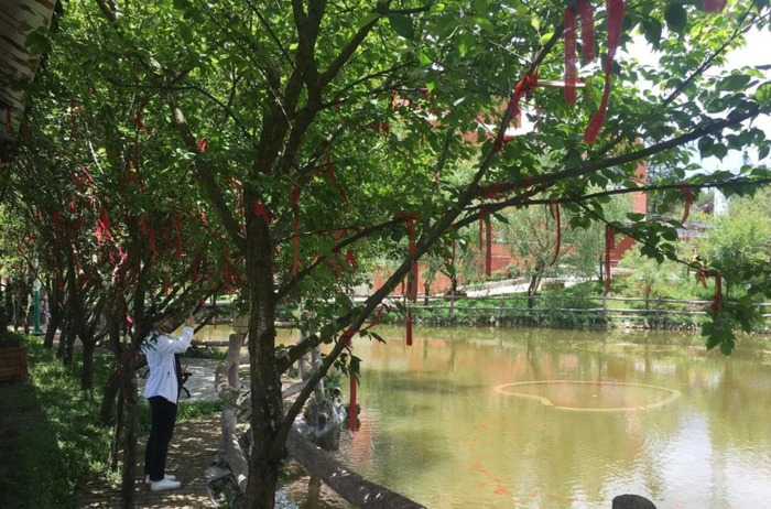 百里杜鹃附近【百里杜鹃风景名胜区住哪里好】