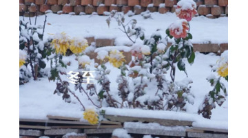 冬至这天有什么禁忌吗【冬至要忌做什么事】