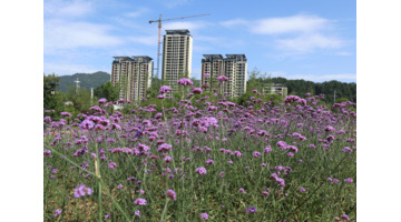 打扫卫生心得体会一年级【打扫卫生心得体会200字】