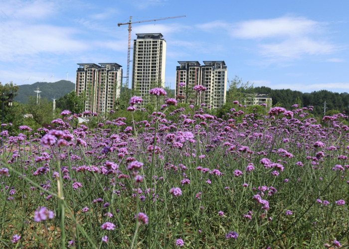 打扫卫生心得体会一年级【打扫卫生心得体会200字】