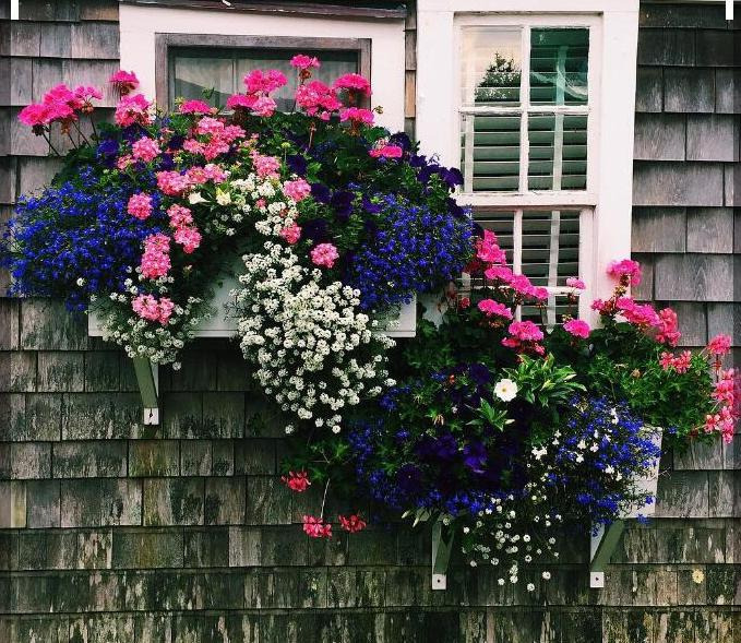 优质珍珠岩多少钱一方【珍珠岩多少钱一粒】