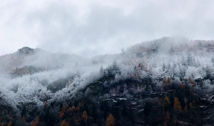 水瓶与水瓶会纠缠一辈子么【和水瓶座纠缠不休的星座】