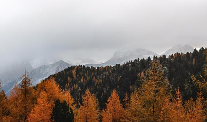 水瓶与水瓶会纠缠一辈子么【和水瓶座纠缠不休的星座】