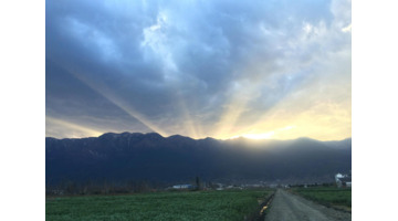 左右为难的情景描写小片段【左右为难的情景描写小片段200字】