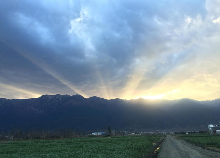 左右为难的情景描写小片段【左右为难的情景描写小片段200字】