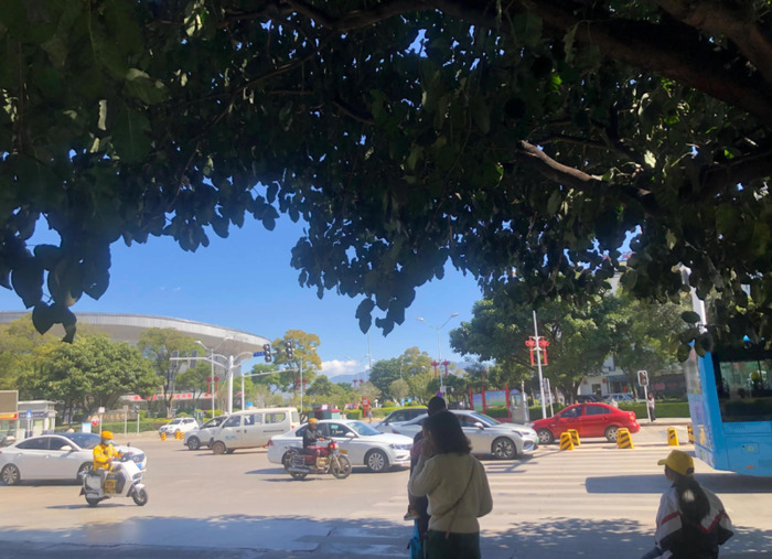 左右为难的情景描写小片段【左右为难的情景描写小片段200字】