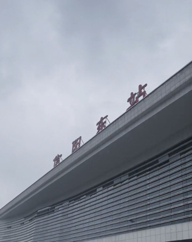 毅莱文化ceo熊猫哥图片【毅莱ceo熊猫】