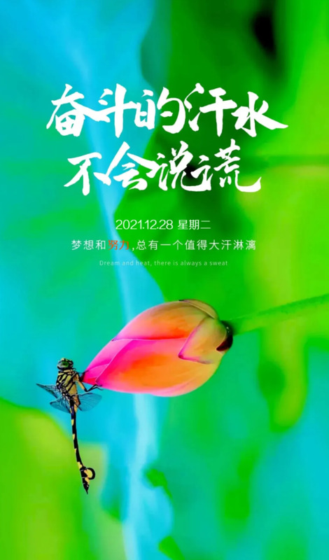 人善被人欺马善被人骑的名句【人善被人欺马善被人骑的说说】