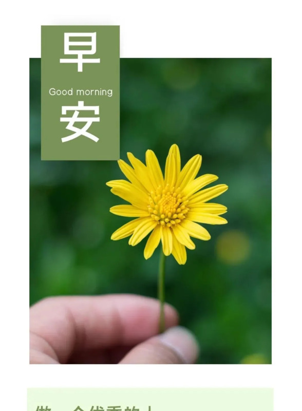 人善被人欺马善被人骑的名句【人善被人欺马善被人骑的说说】