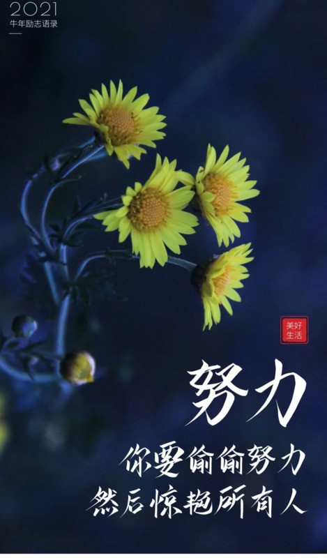 人善被人欺马善被人骑的名句【人善被人欺马善被人骑的说说】