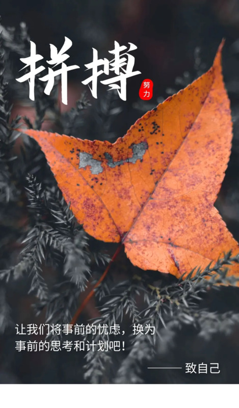 人善被人欺马善被人骑的名句【人善被人欺马善被人骑的说说】