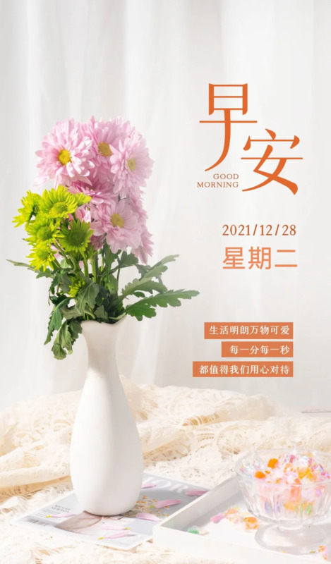 人善被人欺马善被人骑的名句【人善被人欺马善被人骑的说说】