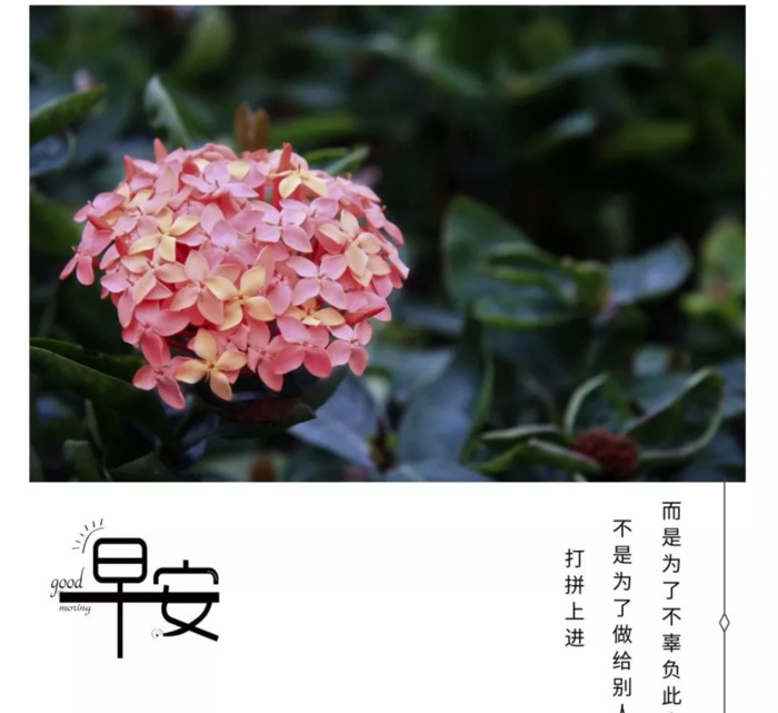 人善被人欺马善被人骑的名句【人善被人欺马善被人骑的说说】