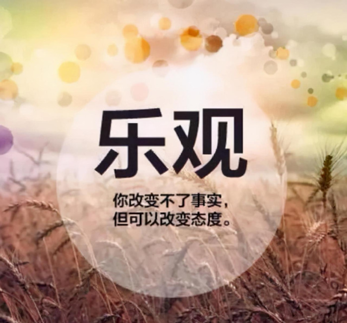 人善被人欺马善被人骑的名句【人善被人欺马善被人骑的说说】