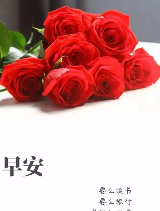 人善被人欺马善被人骑的名句【人善被人欺马善被人骑的说说】