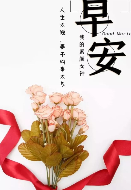 人善被人欺马善被人骑的名句【人善被人欺马善被人骑的说说】