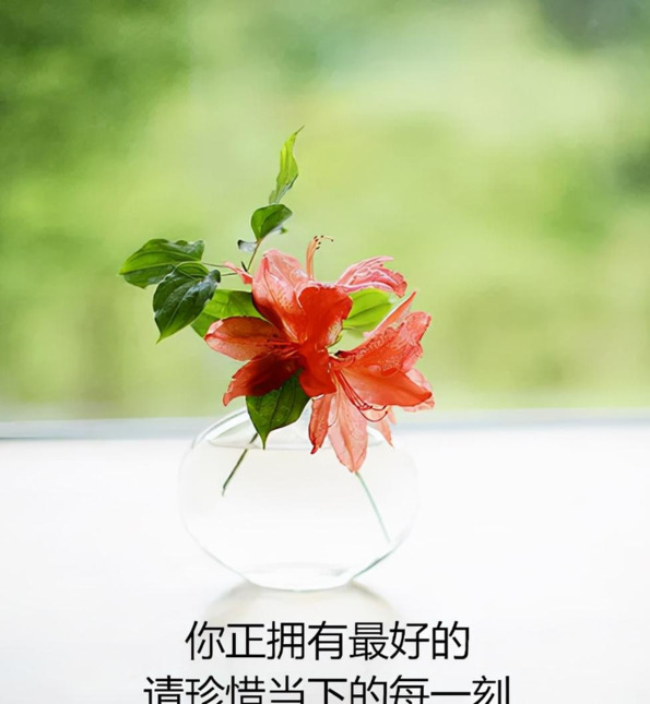 人善被人欺马善被人骑的名句【人善被人欺马善被人骑的说说】